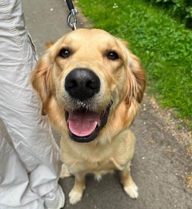 One of our Teesside pet clients